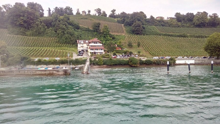 Cesta do Konstanz, ustanovení ECF